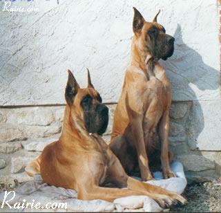 Glyncka Des Terres De La Rairie