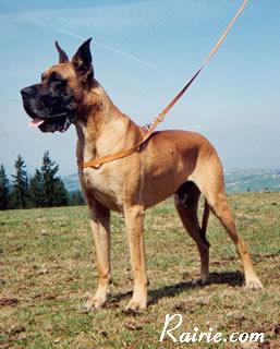 Ch Gulliver Des Terres De La Rairie