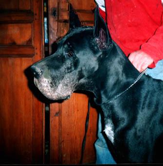 Half Des Terres De La Rairie