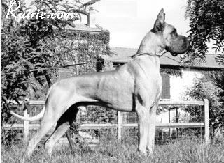 Iamos Des Terres De La Rairie