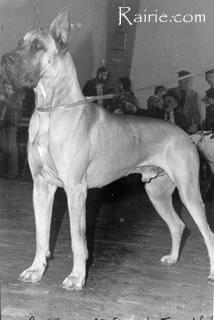 Iamos Des Terres De La Rairie