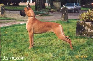 Ch Inch�alla Des Terres De La Rairie