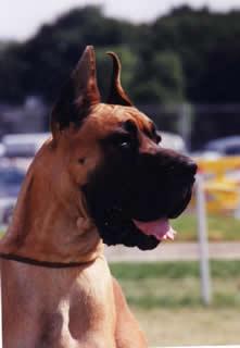 Ch Inch�alla Des Terres De La Rairie