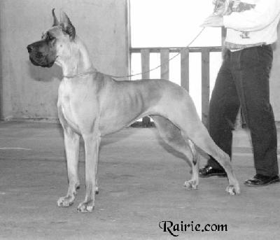 Ch Inchalla Des Terres De La Rairie