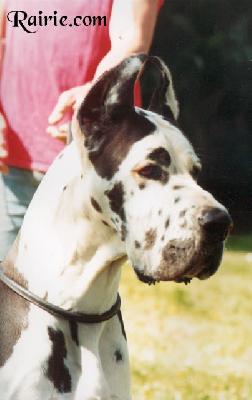 Ch Iorischka Des Terres De La Rairie