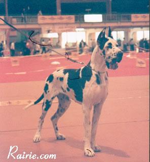 Ch Iorischka Des Terres De La Rairie