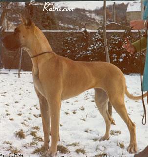 Ch Jamane Des Terres De La Rairie