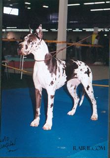 Jamiele Des Terres De La Rairie