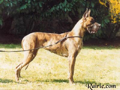 Ch Jeangere Des Terres De La Rairie