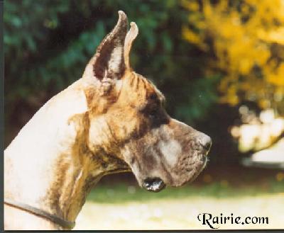 Ch Jeangere Des Terres De La Rairie