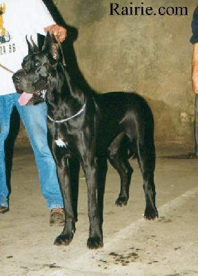 Ch Lalifa Des Terres De La Rairie