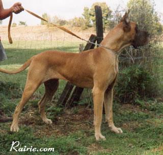 Legende Des Terres De La Rairie