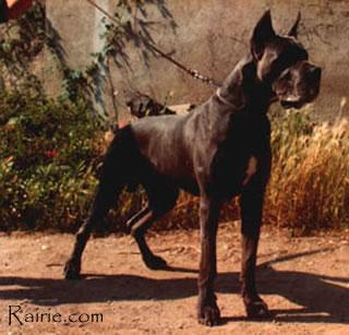 Ch Lother Des Terres De La Rairie