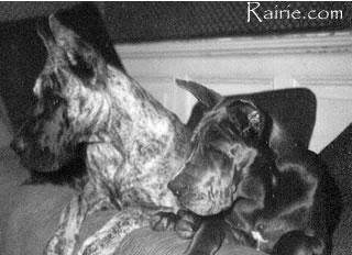 Luna Des Terres De La Rairie