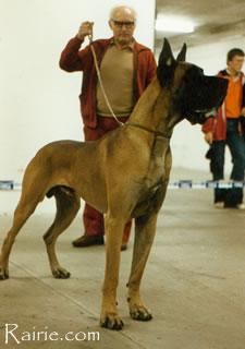 Ch Manager Des Terres De La Rairie