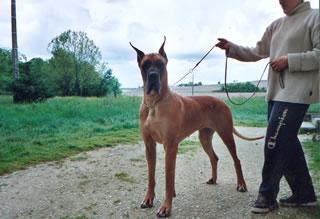 Mekong Des Terres De La Rairie