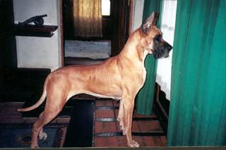 Moorea Des Terres De La Rairie