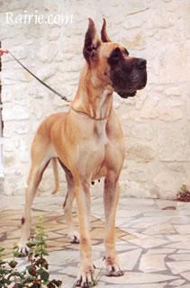 Ch Myriade Des Terres De La Rairie