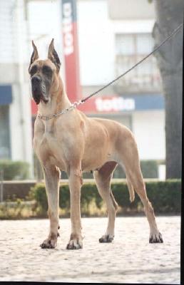 Ch Myriade Des Terres De La Rairie