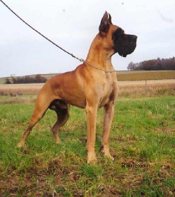 Ch Nankin Des Terres De La Rairie