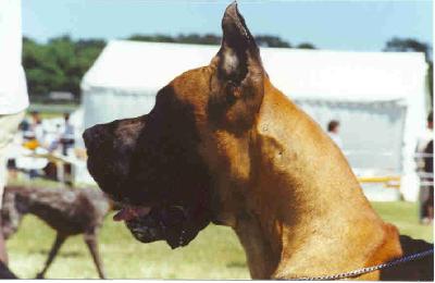 Ch Nankin Des Terres De La Rairie