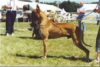 Ch Nankin Des Terres De La Rairie