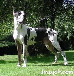 Nasch Des Terres De La Rairie