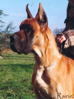 None But You Des Terres De La Rairie