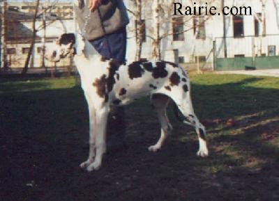 Seduisante Des Terres De La Rairie