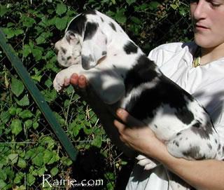 Sinna Des Terres De La Rairie