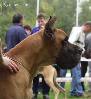 Ch Odaim Des Terres De La Rairie