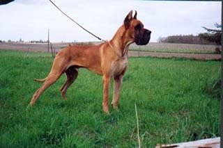 Ch Odaim Des Terres De La Rairie