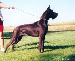 Of Corse Des Terres De La Rairie