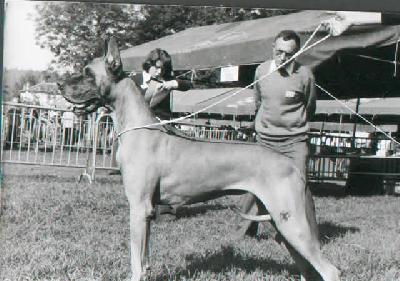 Ondee Des Terres De La Rairie