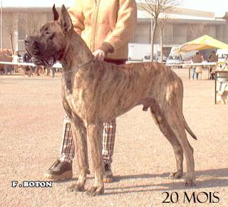 Ch O�neal Des Terres De La Rairie