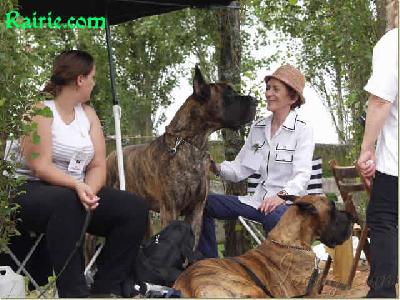 Ch O�neal Des Terres De La Rairie