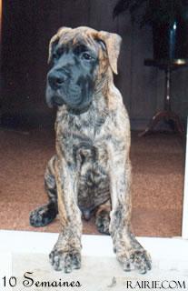 Ch O�neal Des Terres De La Rairie