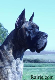 Ch O�neal Des Terres De La Rairie