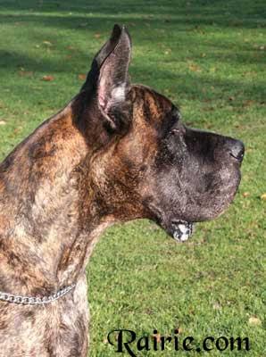 Ch O�neal Des Terres De La Rairie