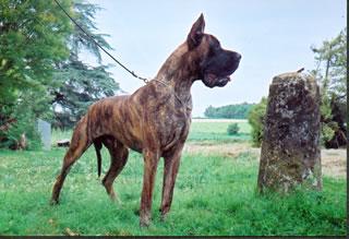 Ch O�neal Des Terres De La Rairie