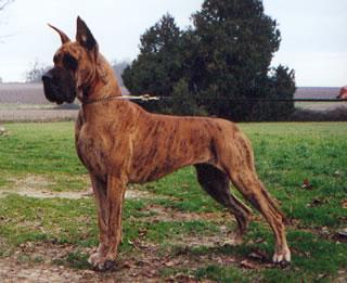 Ch Oratzie Des Terres De La Rairie