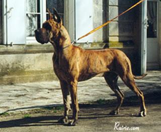 Ch Oratzie Des Terres De La Rairie