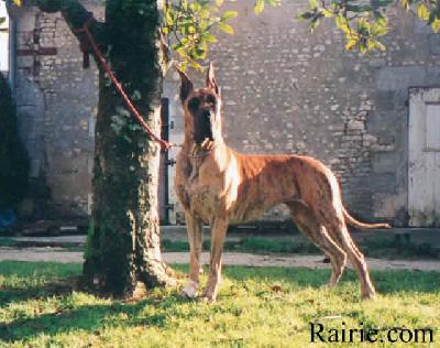 Ch Oratzie Des Terres De La Rairie