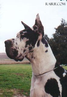 Ch Oriflame Des Terres De La Rairie