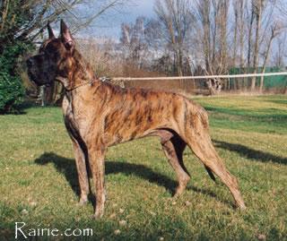 Ch Orlandow Des Terres De La Rairie