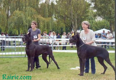 Ch Orson Des Terres De La Rairie