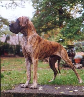 Ch Ortega Des Terres De La Rairie