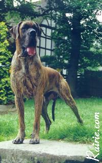 Ch Ortega Des Terres De La Rairie