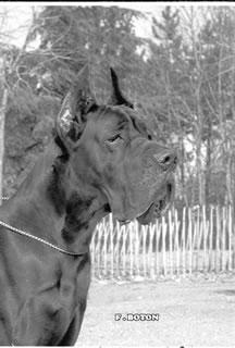 Osiris Des Terres De La Rairie