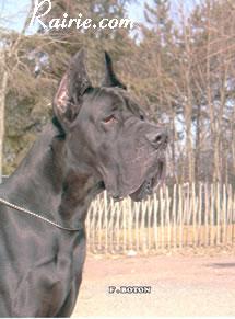 Osiris Des Terres De La Rairie